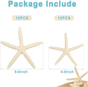20 PCS 2-4 Inch 4-6 Inch Bulk Natural Real Starfish For DIY Crafts Wedding Beach Christmas Tree Ornaments (Option: 4to6 inch)